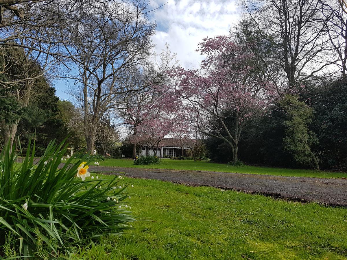 Bed and Breakfast Woodbury Farm Takanini Exterior foto